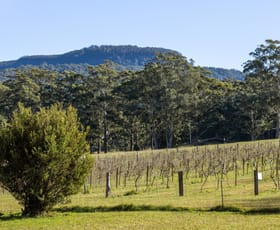 Rural / Farming commercial property sold at 141 Woodhill Mountain Road Broughton Vale NSW 2535