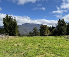 Rural / Farming commercial property for sale at 1390 Loongana Road Loongana TAS 7315 Rural / Farming commercial property for sale at 1390 Loongana Road Loongana TAS 7315