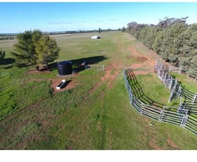 Rural / Farming commercial property for sale at Lot 5 Wirrinya Road Forbes NSW 2871