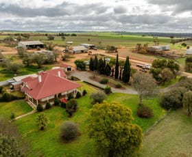 Rural / Farming commercial property for sale at 79 Goldfields Way Old Junee Via Wagga Wagga NSW 2650