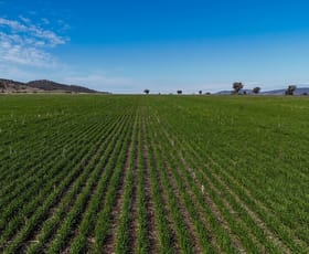 Rural / Farming commercial property sold at 125 Clift Lane Currabubula NSW 2342