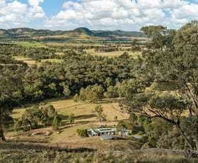 Rural / Farming commercial property for sale at 73 Murkins Lane Mudgee NSW 2850