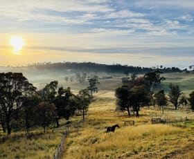 Rural / Farming commercial property for sale at 102 Niagara Lane Tantawangalo NSW 2550