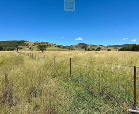 Rural / Farming commercial property for sale at Pound Creek Road Rocky Creek NSW 2390