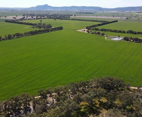 Rural / Farming commercial property for sale at 788 Mittagong Yerong Creek Road Yerong Creek NSW 2642