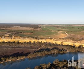 Rural / Farming commercial property for sale at 7100 Hunter Road Bowhill SA 5238
