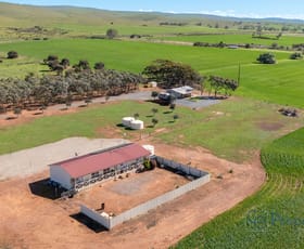 Rural / Farming commercial property sold at 1502 Pine Hut Road Sedan SA 5353