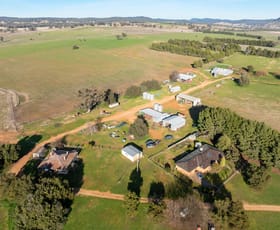 Rural / Farming commercial property for sale at 501 Mandagery Road Mandagery NSW 2870