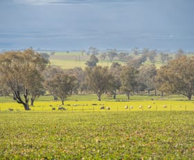 Rural / Farming commercial property for sale at 1228 Jerrybang Lane, Monteagle via Young NSW 2594