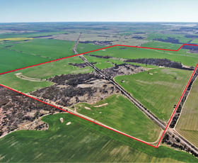 Rural / Farming commercial property for sale at 3840 Kulin - Lake Grace Road Jilakin WA 6365