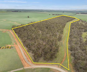 Rural / Farming commercial property sold at 7453 Booborowie Road Leighton SA 5417