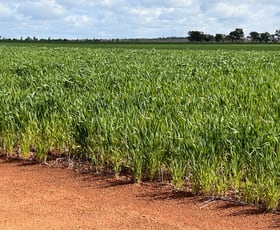 Rural / Farming commercial property for sale at Lot 801 Carnamah - Perenjori Road Carnamah WA 6517