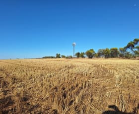 Rural / Farming commercial property for sale at Lot 801 Carnamah - Perenjori Road Carnamah WA 6517