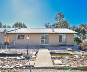 Rural / Farming commercial property sold at 596 Williams Rd Bundaleer North SA 5491