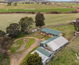 Rural / Farming commercial property for sale at 378 Bidgeribbon Road The Lagoon NSW 2795