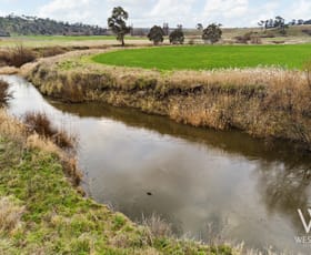 Rural / Farming commercial property for sale at 378 Bidgeribbon Road The Lagoon NSW 2795