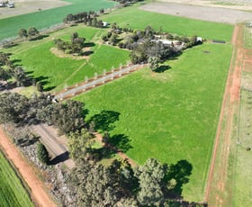 Rural / Farming commercial property for sale at 'Willow Tree' 14L Dulcidene Road Terramungamine NSW 2830