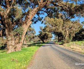Rural / Farming commercial property sold at Lot M878 Caraban Road Woodridge WA 6041