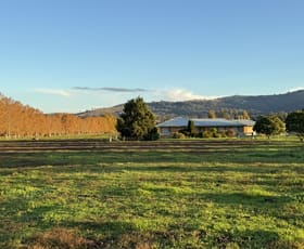 Rural / Farming commercial property sold at "Inglewood" 5985 New England Highway Murrurundi NSW 2338