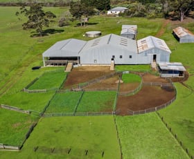 Rural / Farming commercial property sold at 2060 East West One Highway Seddon SA 5223