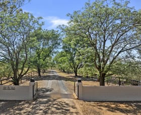 Rural / Farming commercial property for sale at 2856 Olympic Highway Wagga Wagga NSW 2650