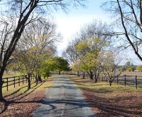 Rural / Farming commercial property for sale at 2856 Olympic Highway Wagga Wagga NSW 2650