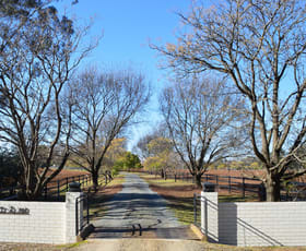 Rural / Farming commercial property for sale at 2856 Olympic Highway Wagga Wagga NSW 2650