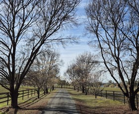Rural / Farming commercial property for sale at 2856 Olympic Highway Wagga Wagga NSW 2650