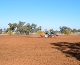 Rural / Farming commercial property for sale at 2856 Olympic Highway Wagga Wagga NSW 2650