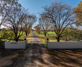 Rural / Farming commercial property for sale at 2856 Olympic Highway Wagga Wagga NSW 2650