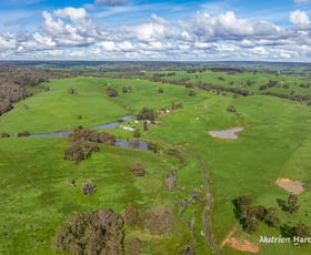 Rural / Farming commercial property sold at . Thomson Brook Thomson Brook WA 6239