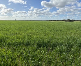 Rural / Farming commercial property sold at 10202 Correy Road Arrowsmith WA 6525
