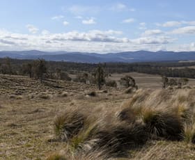 Rural / Farming commercial property sold at 749 Caddigat Road Dry Plain NSW 2630