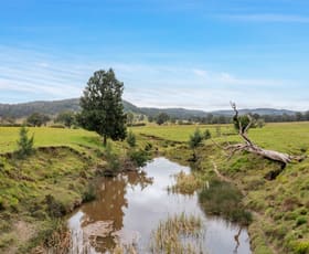 Rural / Farming commercial property for sale at 471 Dungog Road Hilldale NSW 2420