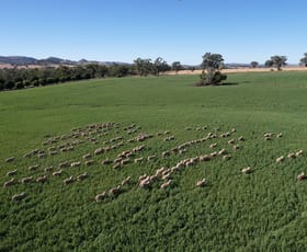 Rural / Farming commercial property for sale at 814 Bennett Springs Road Cowra NSW 2794