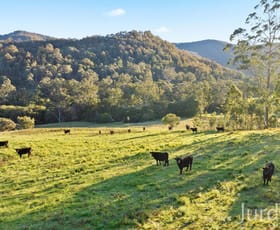 Rural / Farming commercial property sold at 1101 Congewai Road Congewai NSW 2325