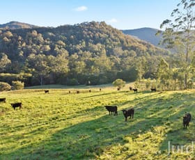 Rural / Farming commercial property for sale at 1101 Congewai Road Congewai NSW 2325