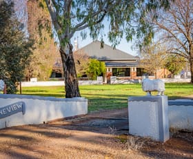 Rural / Farming commercial property sold at 'Pineview', 1440 Coolamon Road Mimosa NSW 2666