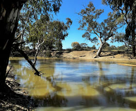 Rural / Farming commercial property for sale at "Cumnock Creek" Brassi Road Deniliquin NSW 2710