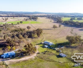 Rural / Farming commercial property sold at 3889 Nullamanna Road Wellingrove NSW 2370