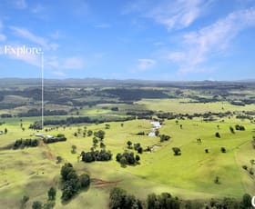 Rural / Farming commercial property for sale at 41 Ford Road Tarzali QLD 4885