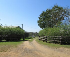 Rural / Farming commercial property for sale at 288 Blowers Road Munna Creek QLD 4570