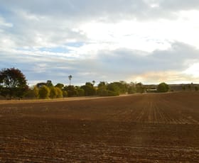 Rural / Farming commercial property for sale at Rosehill 66 East Bomen Rd Wagga Wagga NSW 2650