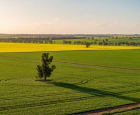 Rural / Farming commercial property sold at 'Green Hills' 146 Seventeen Mile Mail Road Marrar NSW 2652