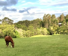 Rural / Farming commercial property for sale at 121 Buckley Road Kin Kin QLD 4571