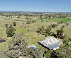 Rural / Farming commercial property sold at 351 Jenners Lane Tamworth NSW 2340