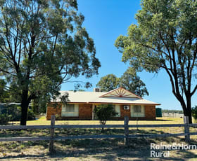Rural / Farming commercial property sold at 1300 Carnarvon Highway Roma QLD 4455