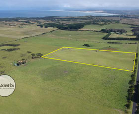 Rural / Farming commercial property for sale at Lot 13 Blowholes Road Cape Bridgewater VIC 3305