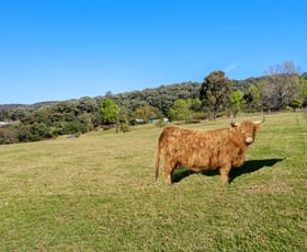 Rural / Farming commercial property for sale at 52a Springrove Lane Kurrajong Hills NSW 2758