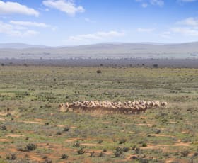 Rural / Farming commercial property sold at 'Liddons' Gillies Road Ucolta SA 5422